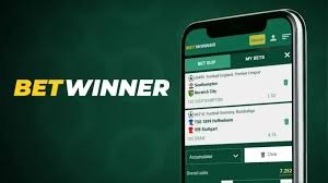 Discover Exciting Casino Games in the Betwinner App Discover Exciting Casino Games in the Betwinner App