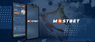 Dive Into the Best Online Exploring Premier Platforms Dive Into the Best Online Exploring Premier Platforms